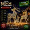 CommercialHolidayLightingSolutions 3D LED Illuminated Reindeer Trio | Premium Outdoor Interactive Christmas Motif Display Set