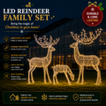 Commercial Holiday Lighting Solutions 3D LED Reindeer Family Landscape Set | Premium Outdoor Interactive Christmas Motif Display