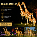Bespoke Giraffe Lanterns | Professional Wildlife Displays for Immersive Exhibits